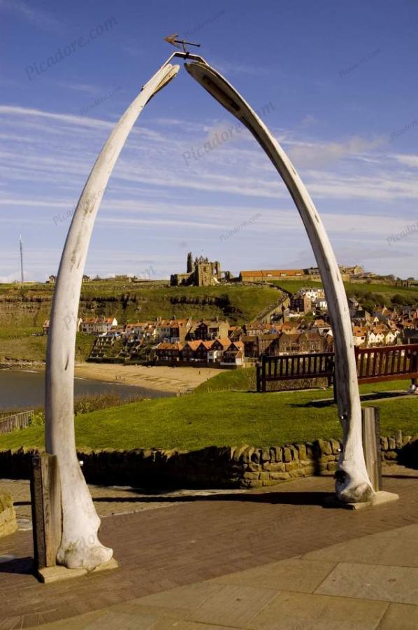 Whitby abbey and church through the whale bones Large Version