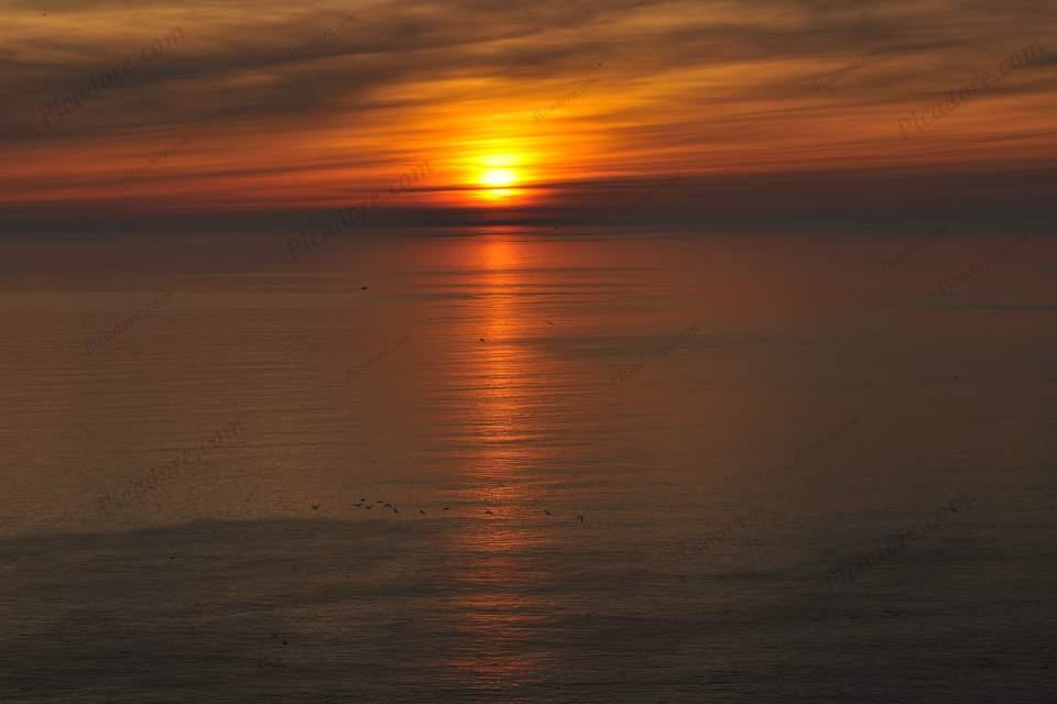 Sunrise at Bempton Cliffs Large Version
