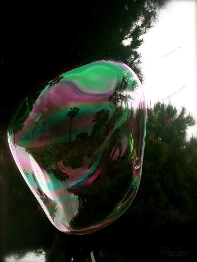 Bubble colours Large Version