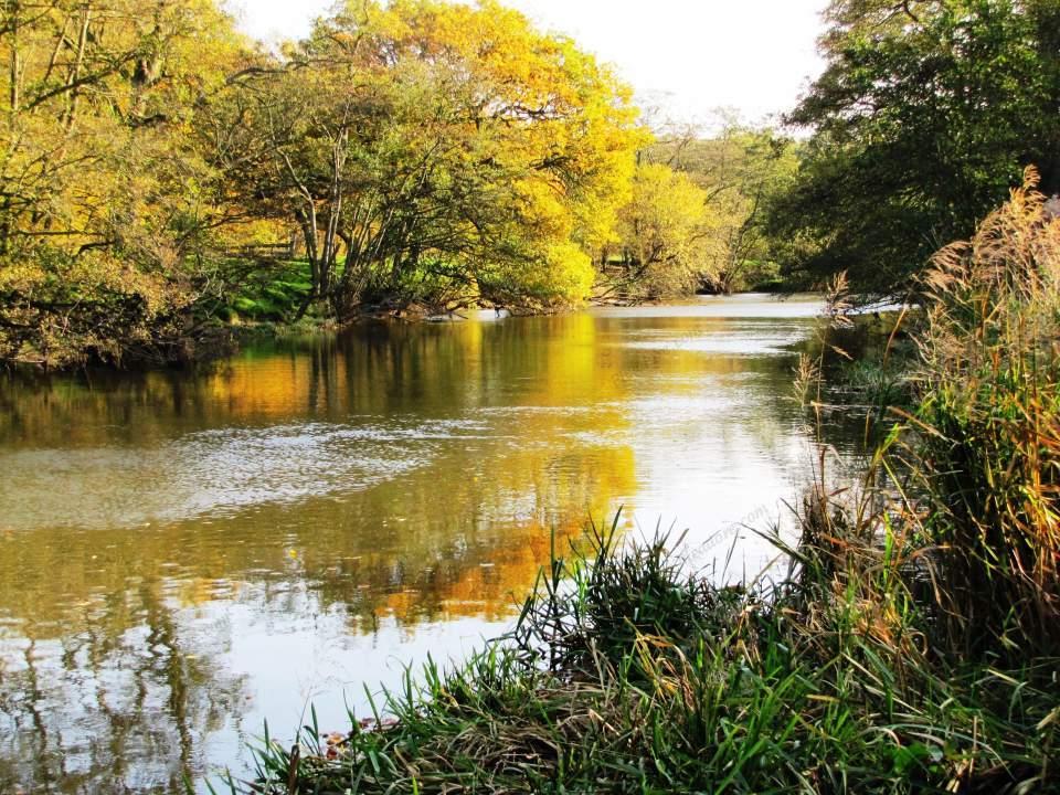 River Derwent Autumn Reflection Large Version