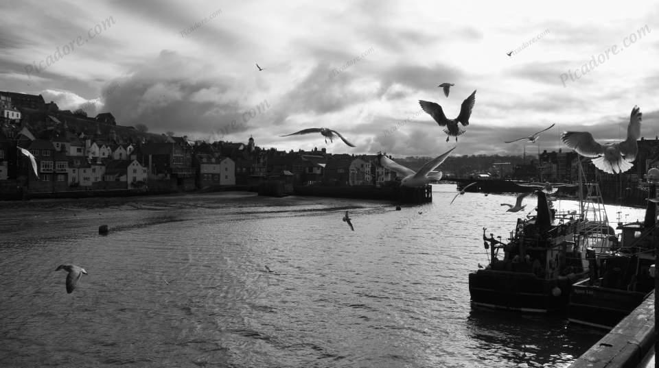 Whitby Harbour Large Version