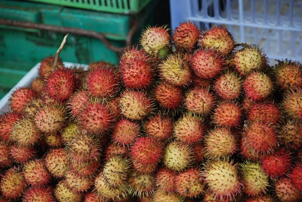 Fruit at Market Large Version